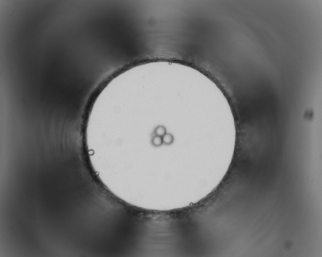 X0000103960395200809261816