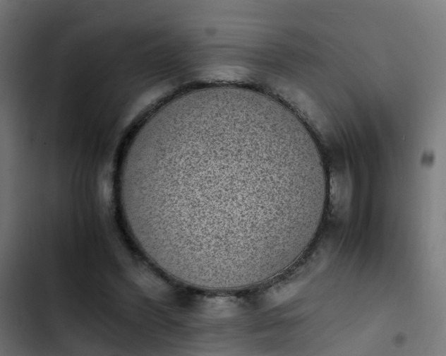 X0000103960396200809261816