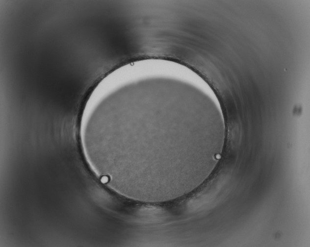 X0000103960397200809261816