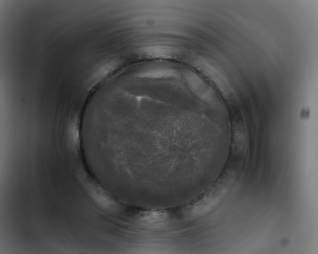 X0000103960398200809261816