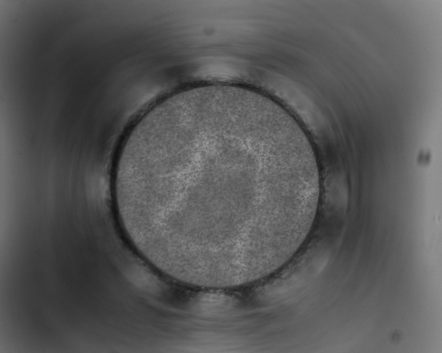 X0000103960399200809261816