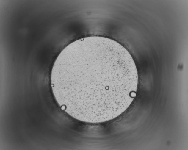 X0000103960401200809261816