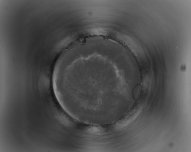 X0000103960402200809261816