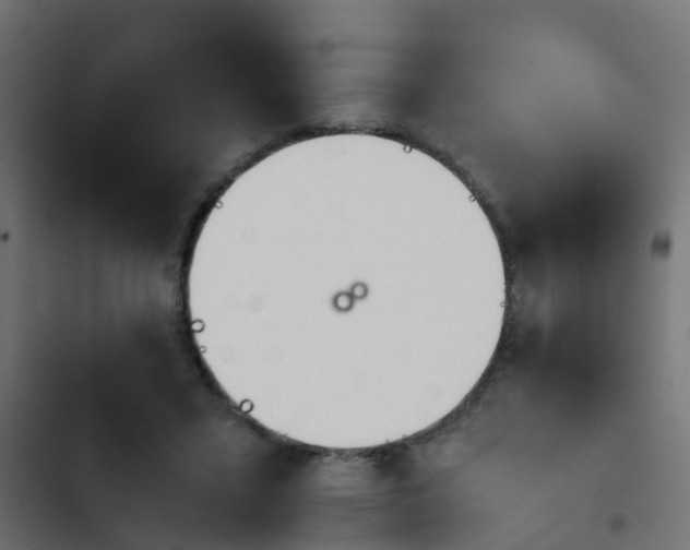 X0000103960403200809261816
