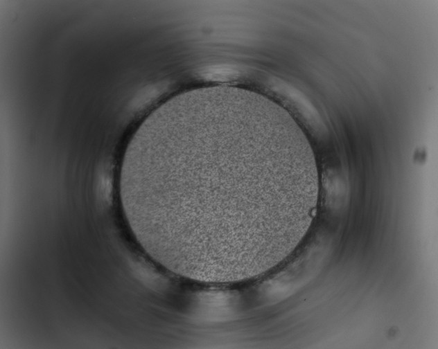 X0000103960404200809261816