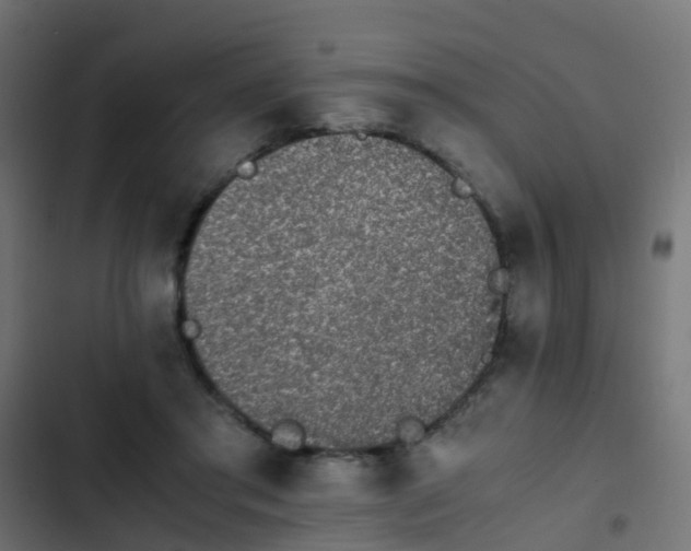 X0000103960405200809261816