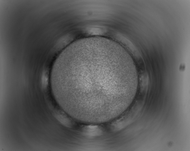 X0000103960406200809261816