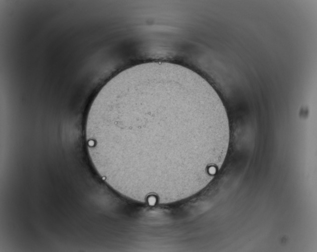 X0000103960407200809261816