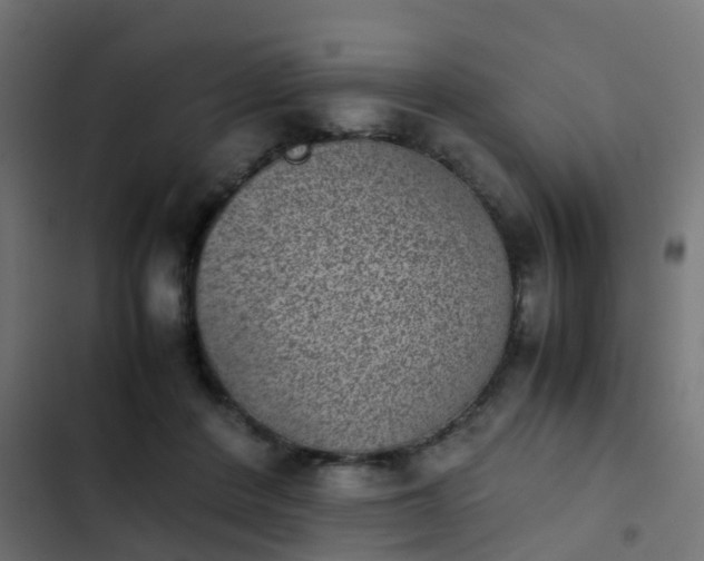 X0000103960408200809261816