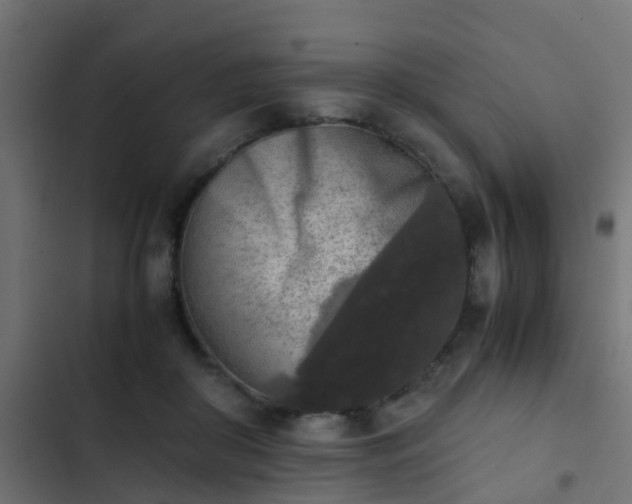 X0000103960410200809261816