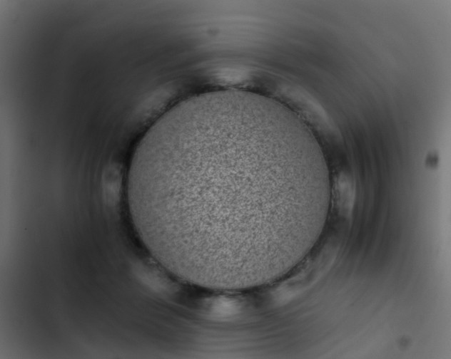X0000103960412200809261816