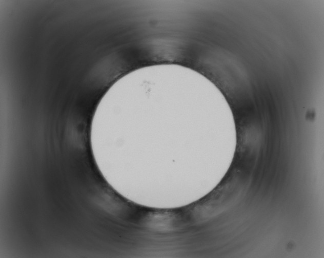 X0000103960414200809261816