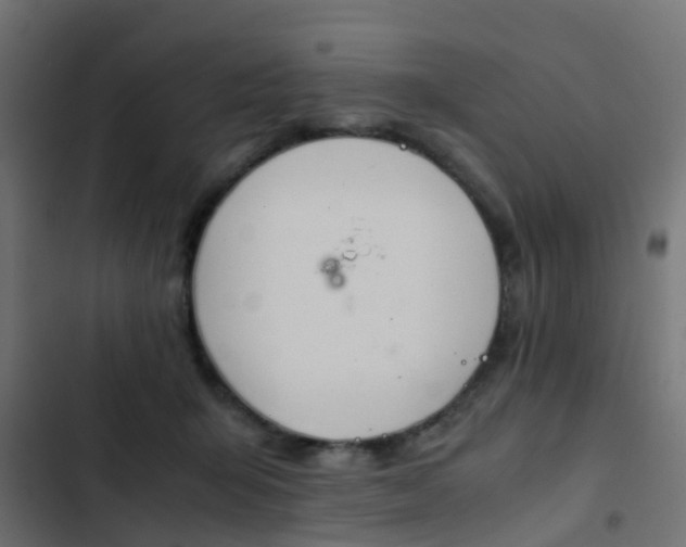 X0000103960415200809261816