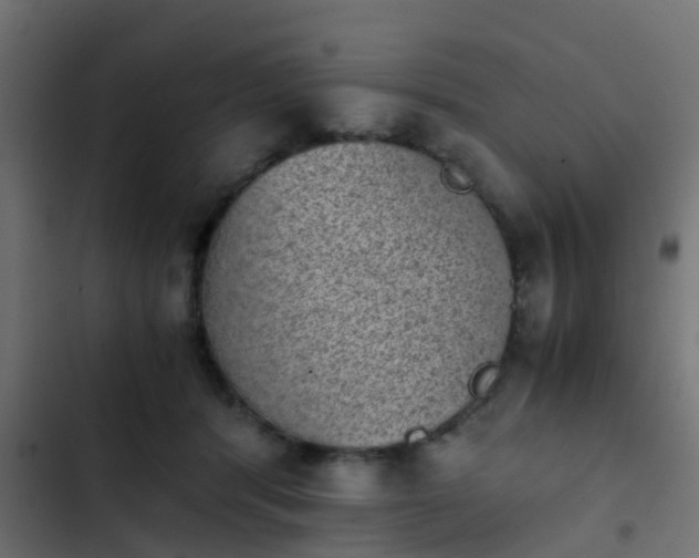 X0000103960416200809261816