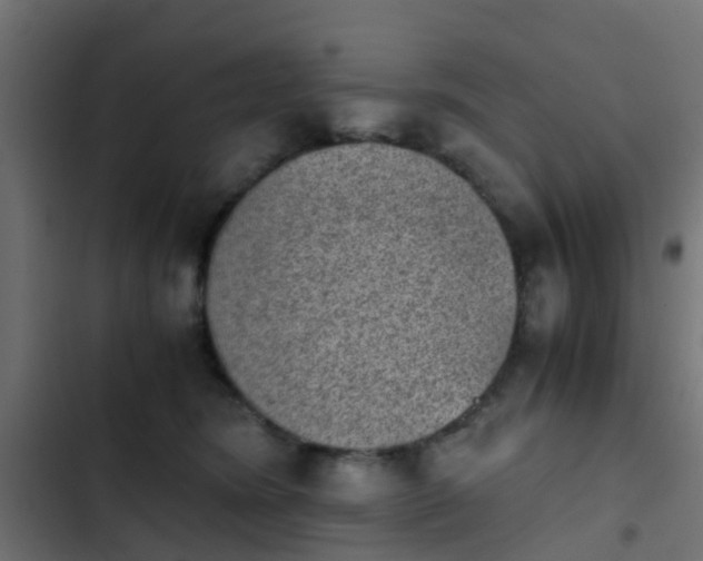 X0000103960420200809261816