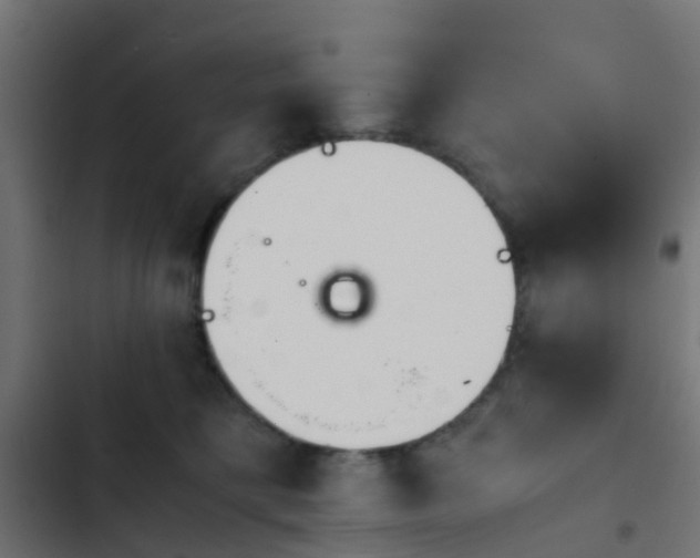 X0000103960421200809261816