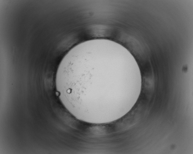 X0000103960422200809261816