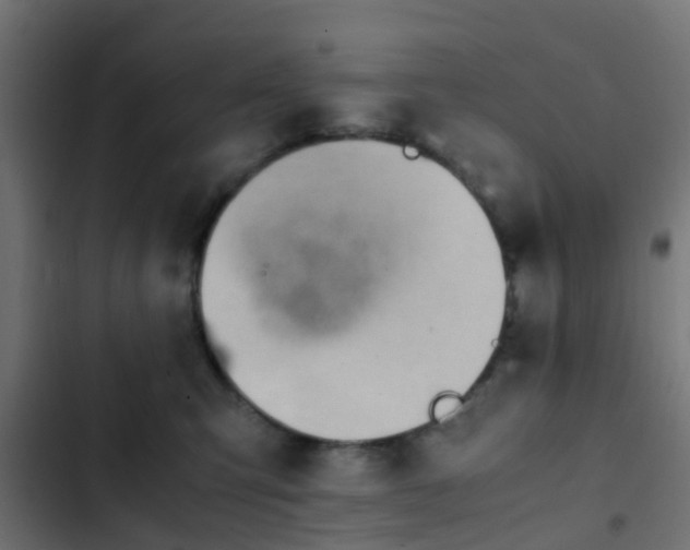 X0000103960423200809261816