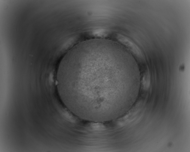 X0000103960424200809261816