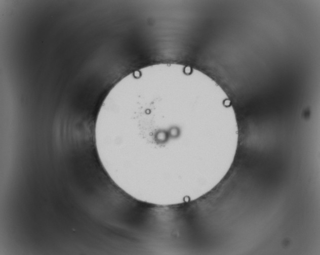 X0000103960425200809261816