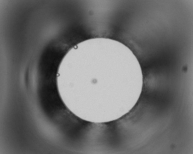 X0000103960429200809261816