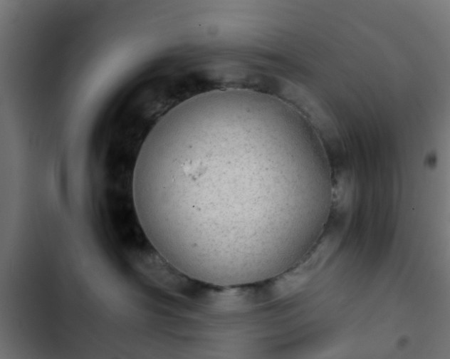 X0000103960430200809261816