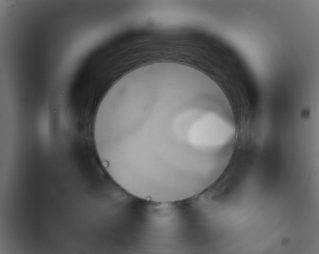 X0000103960431200809261816