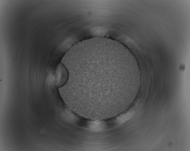 X0000103960432200809261816