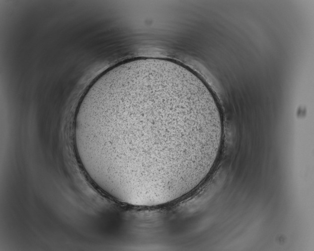 X0000103960433200809261815