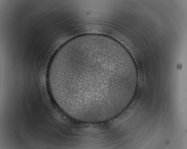 X0000103960434200809261815