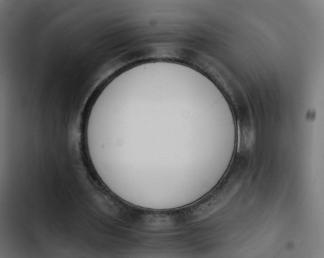 X0000103960435200809261815