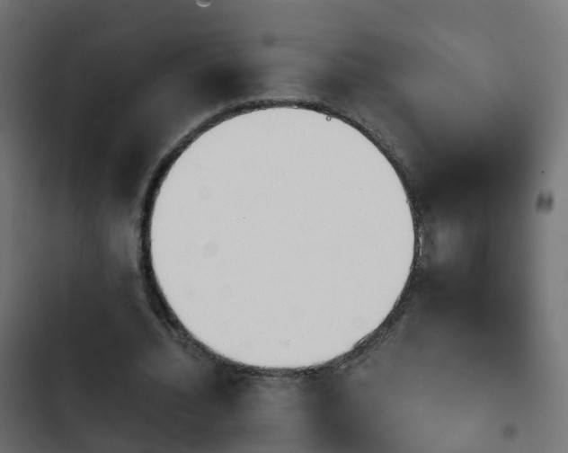 X0000103960436200809261815