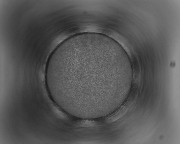 X0000103960437200809261815