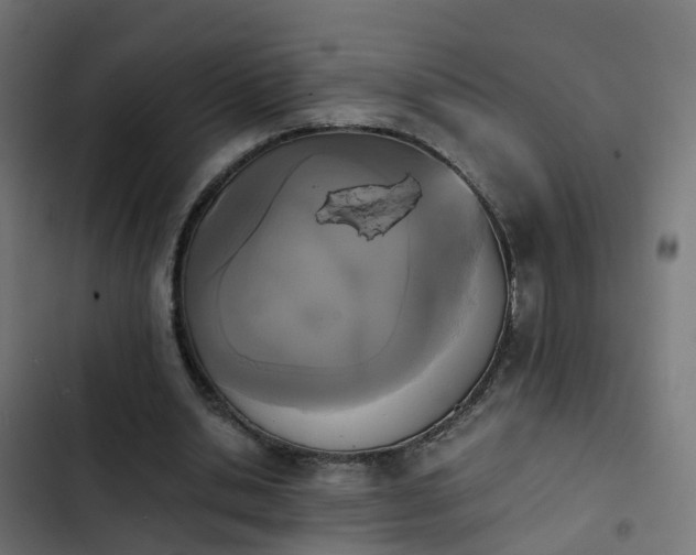 X0000103960438200809261815