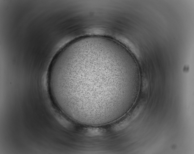 X0000103960439200809261815
