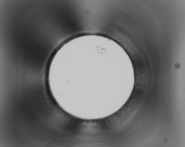 X0000103960440200809261815