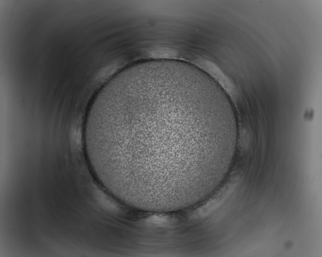 X0000103960441200809261815