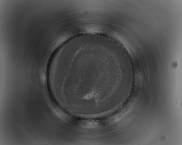 X0000103960443200809261815