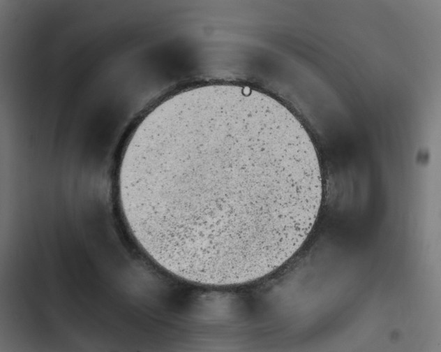 X0000103960444200809261815