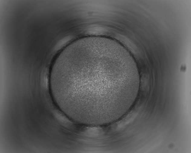 X0000103960446200809261815