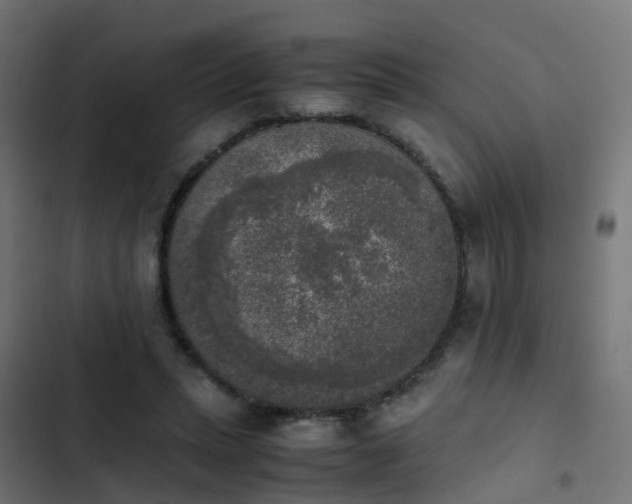 X0000103960447200809261815