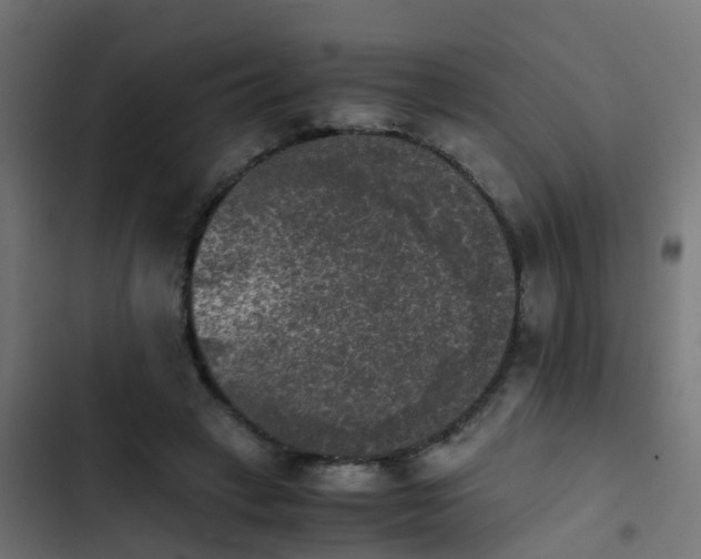 X0000103960449200809261815