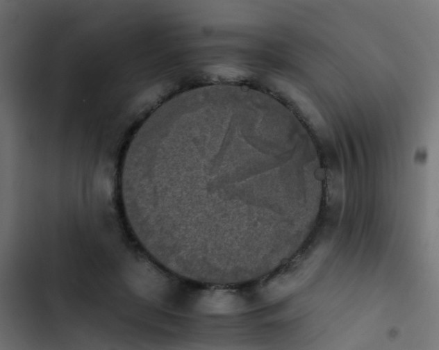 X0000103960451200809261815