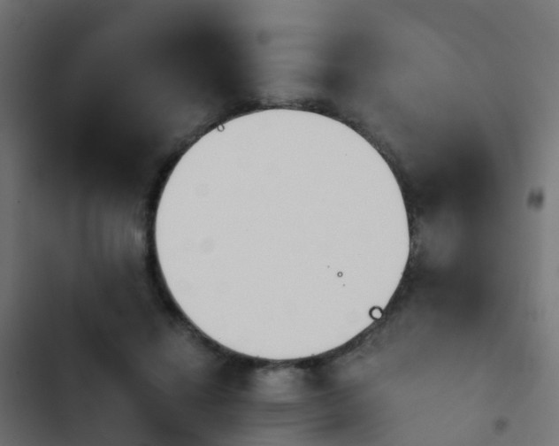 X0000103960452200809261815