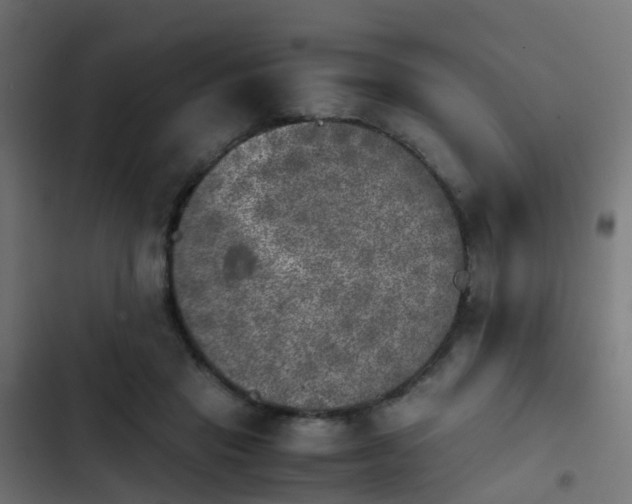 X0000103960453200809261815