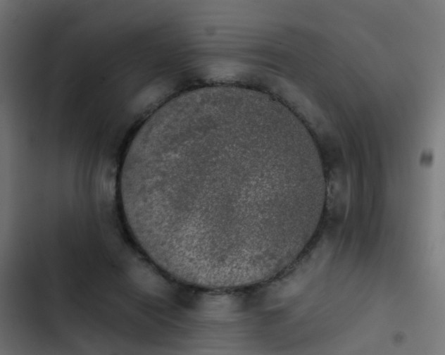 X0000103960454200809261815