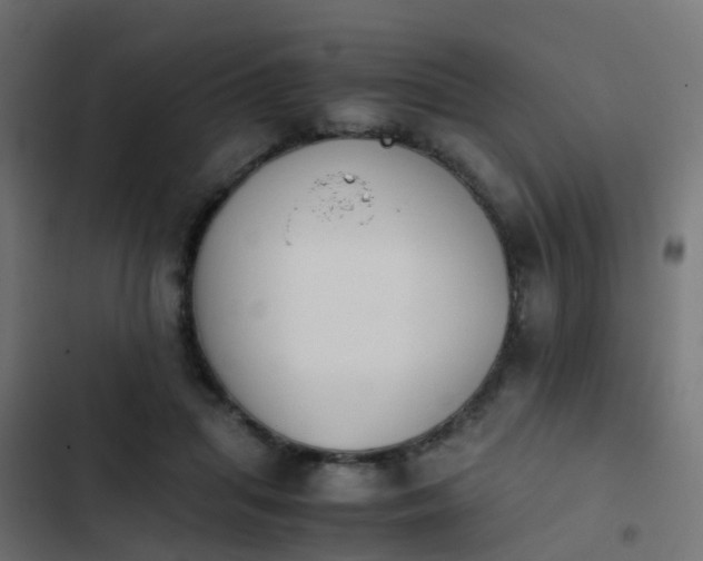 X0000103960455200809261815