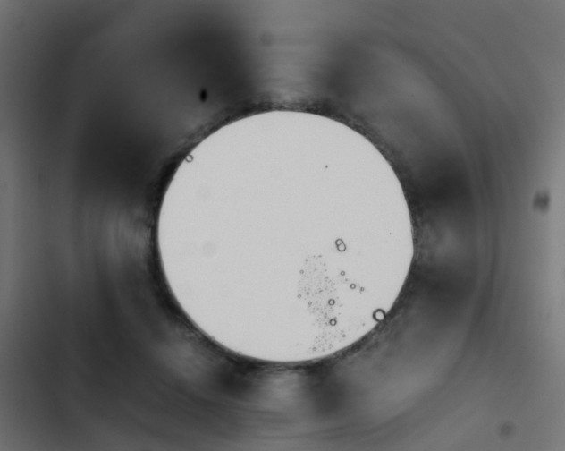 X0000103960456200809261815