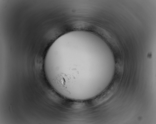 X0000103960458200809261815