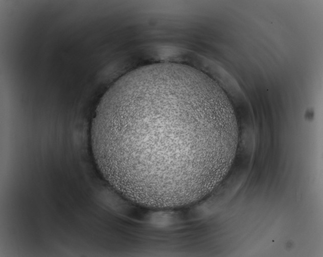 X0000103960461200809261815